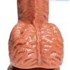 7 inch realistic dildo suction cup & balls with skin tone India by LoveLuxToys
