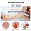 fake silicone vagina panty for crossdressers and hip shaping. Soft, realistic, and comfortable for regular underwear in India LoveLuxToys.com